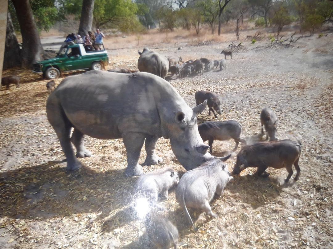 Multi-Day Package Tours