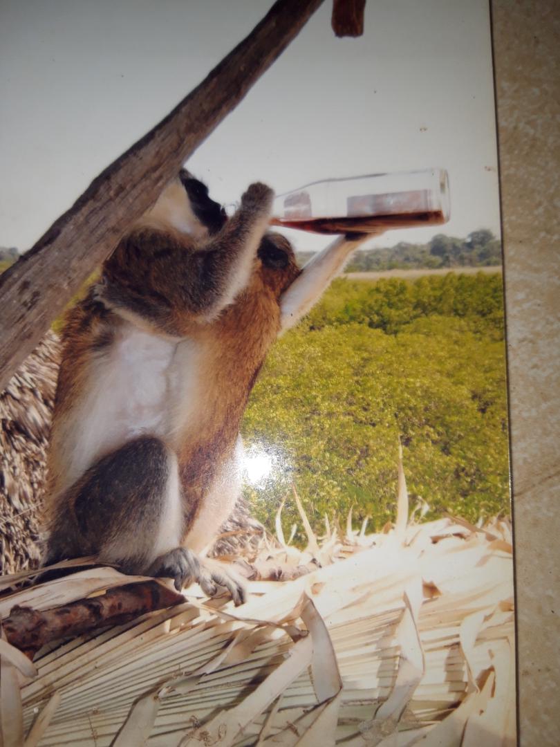 Tanji Fishing Market