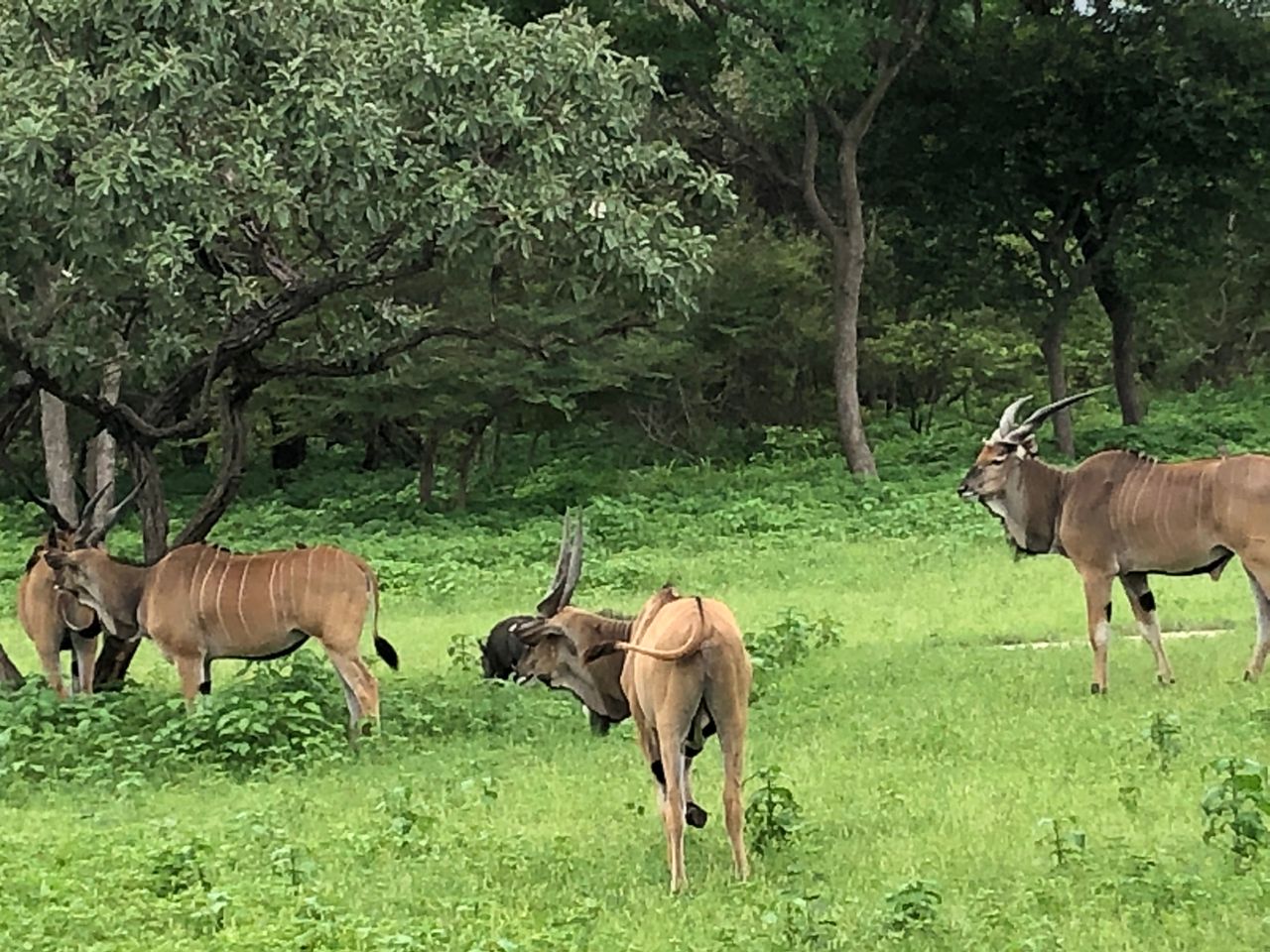 7-Day Gambia Adventure